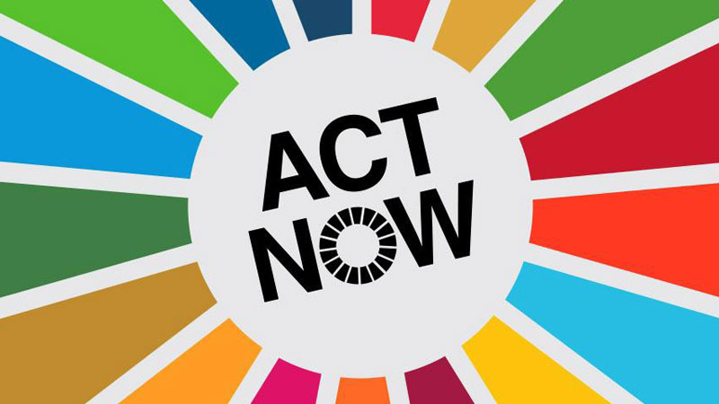 photocomposition: act now written in the middle of the sustainable development goals color wheel