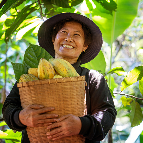 Paysannes souriantes portant des fves de cacao