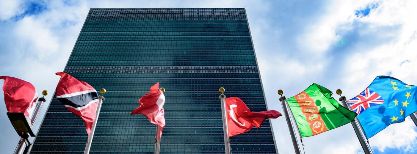 Una vista del edificio de la 𳦰ٲ de la ONU con banderas de los Estados miembros de la ONU ondeando en primer plano.