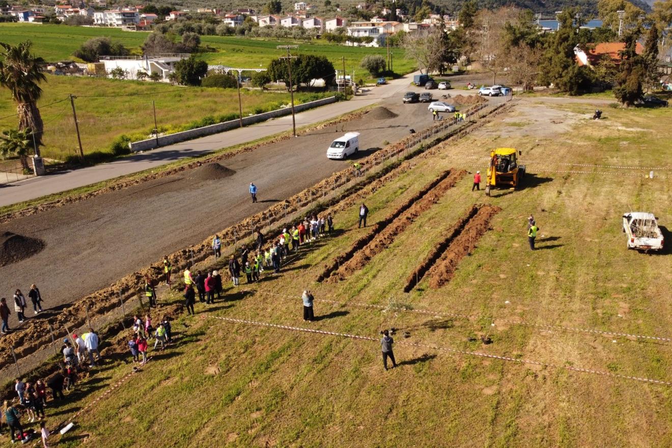 Field from above as it is prepared for tree planting 